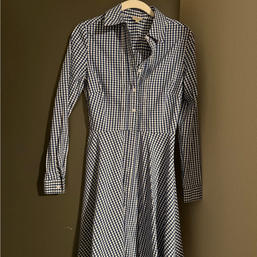 Daniel Cremieux Blue and White Gingham Long Sleeve Dress